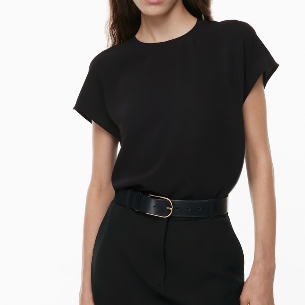 Aritzia Babaton Interview Blouse